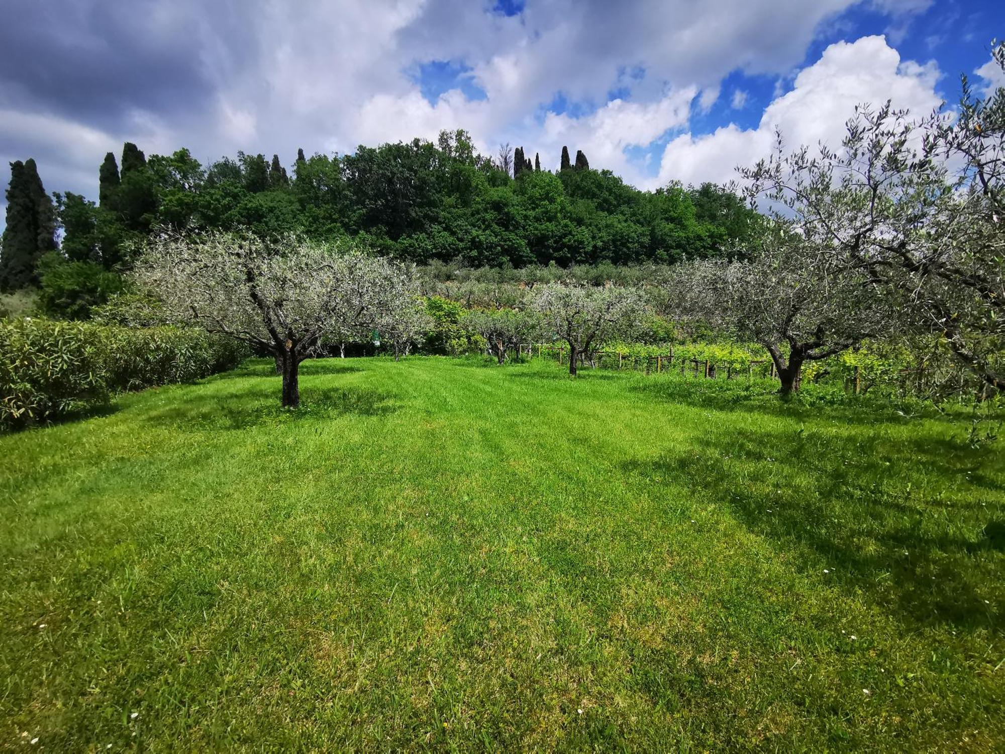 Casa Ghirlanda Con Piscina E Campo Da Tennis Lazise Esterno foto